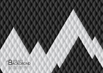 Black and white abstract background vector illustration, cover template layout, business flyer, Leather texture luxury can be used in annual report cover design, book, banner, web page, brochure, card