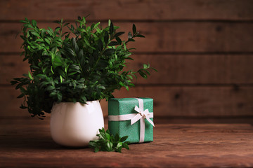 Green bouquet in white vase on a wooden table with gift box closeup. Background for a postcard. Shallow depth of field