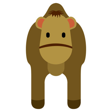 Cute camel icon