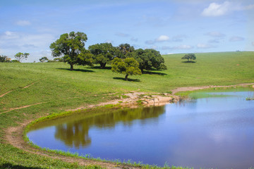 Fototapeta na wymiar Lagoa no sitio