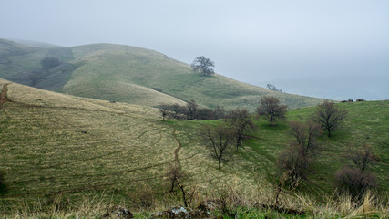 Lagoon Valley Park rolling hills and pasture in Vacaville, California, USA