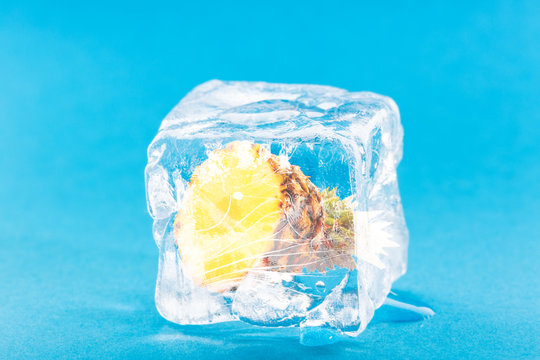 Pineapple Frozen Inside Ice Cube