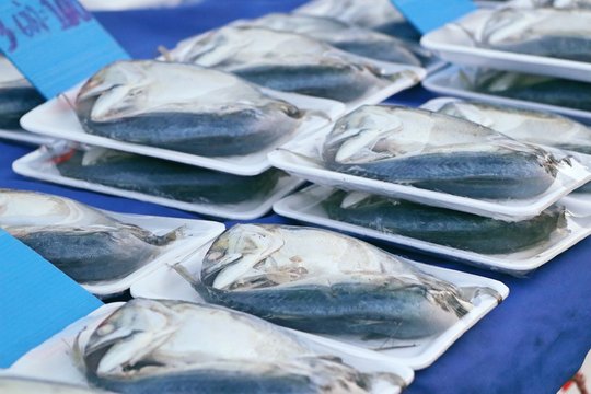 mackerel at street food © oilslo
