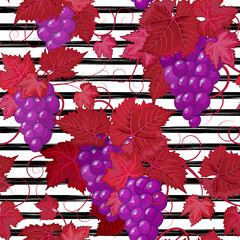 Seamless pattern with grape on strips. Summer background.