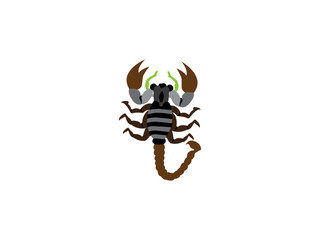 scorpio animal insect zodiac sign