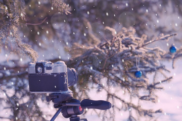 retro camera on a tripod in the woods on a winter day