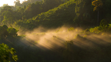 Long exposure of tropical forest in the morning mountain valley landscape over mist, on Viewpoint Khao Kai Nui, Phang Nga, Thailand, Landscape and backgrounds.