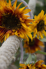 Leaning on a Strong Arm