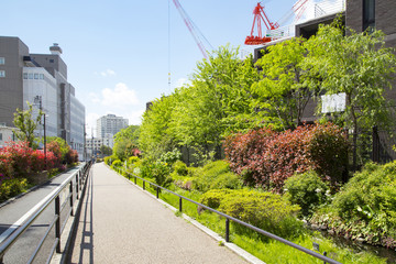 Meguro river lane