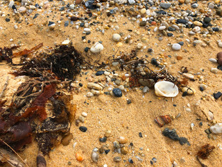 Sand, Pebbles and Seaweed