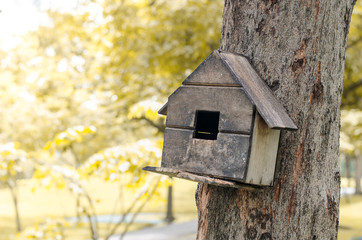 Obraz na płótnie Canvas Squirrel tree house or bird house in the park