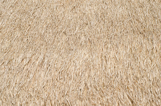 dry straw background