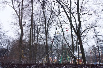 the amusement Park awaits discovery. Winter. Walk only pigeons 2