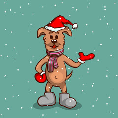 Puppy In Boots On Snowy Background