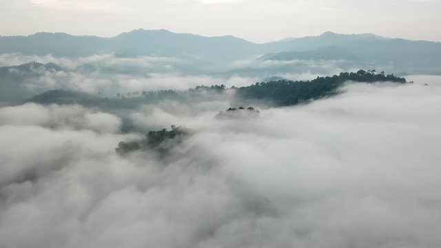 Rainforest. Aerial view of rain forest jungle hillside landscape and clouds