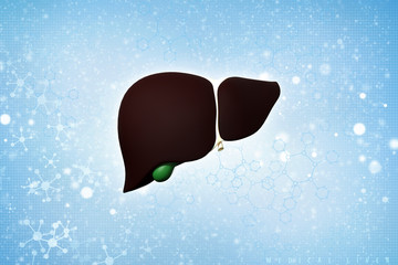 Fototapeta na wymiar Realistic human liver 3d illustration