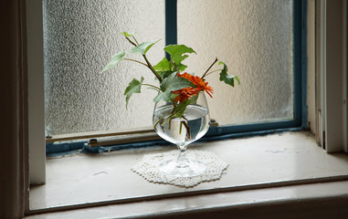 The decoration of the flower put by the window of the room
