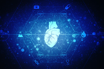 2d illustration  Anatomy of Human Heart 