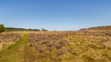 Fototapeta na wymiar Landscape in the North York Moors National Park, UK