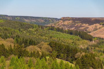 Fototapeta na wymiar Landscape in the North York Moors National Park, UK