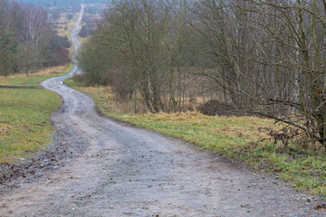 heidelandschaft im Vogtland_7 - farblose Jahreszeit - der Weg