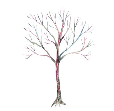 Bare tree. Watercolor hand drawn illustration. Isolated on white background