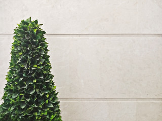 Christmas and white wall as background