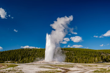Old Faithful geyser in Yellowstone National Park - obrazy, fototapety, plakaty