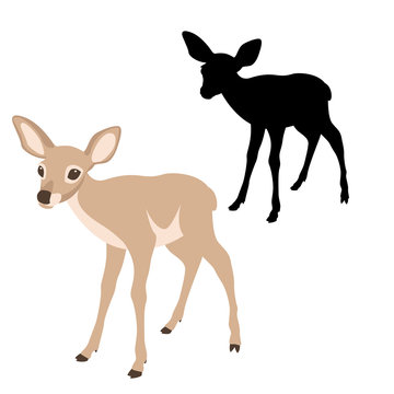 young deer  black silhouette vector illustration flat style profile