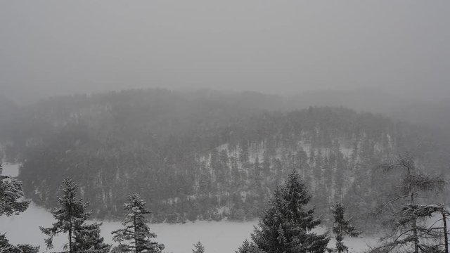 Austria, Tyrolean Alps. Road to Fern pass. Landscape during a snow fall