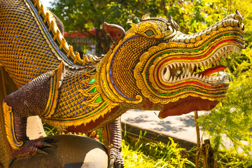 dragon in the temple