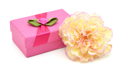 Pink gift box with Pink ribbon and carnation flower on white background
