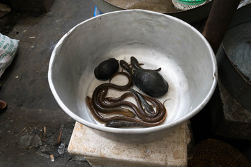Local seafoods in Ima market, Manipur, India