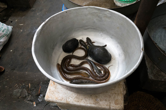 Local seafoods in Ima market, Manipur, India