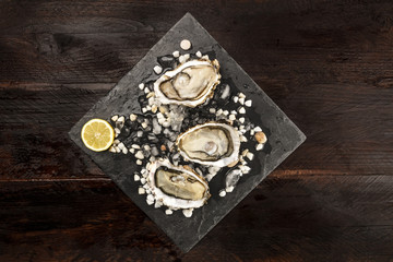 Overhead photo of oysters with copy space