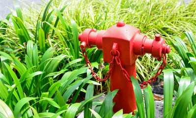 Red fireplug on the road 
