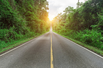 Empty asphalt road through the green forest to sun