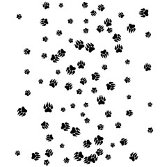 Monochrome Bear Footprints in Black and White. Prints of Paws with Big Claws for Petshop Design or for Goods for Pets. Simple Pattern for Print, Logo or Poster. Vector Confetti Background.