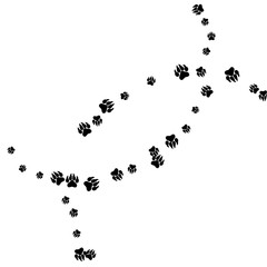 Naklejka premium Monochrome Bear Footprints in Black and White. Prints of Paws with Big Claws for Petshop Design or for Goods for Pets. Simple Pattern for Print, Logo or Poster. Vector Confetti Background.