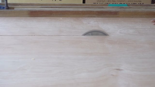 Cutting wood or plywood in carpenter workshop with table circular saw.