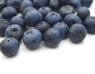 Blueberries on white background