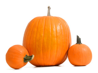 Group of pumpkins isolated on white background