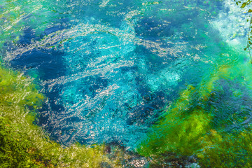 Detail of blue eye spring pot 