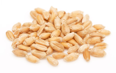Wheat on white