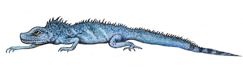 Рисунок краской - голубой ящер ползет на белом фоне