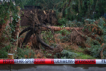 Sturmschäden unscharf im Hintergrund und Feuerwehrabsperrband im Vordergrund