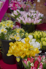 garden centre farm shop warwickshire england uk gardening flowers plants food horticulture pastime hobby shopping retail