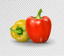 Set of two peppers. Yellow, red pepper. Vector illustration, natural pepper realistic image with shadow for culinary products and recipes illustration
