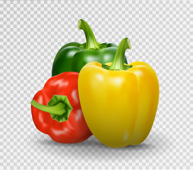 Set of three peppers. Yellow, red and green pepper. Realistic Vector illustration of paprika.