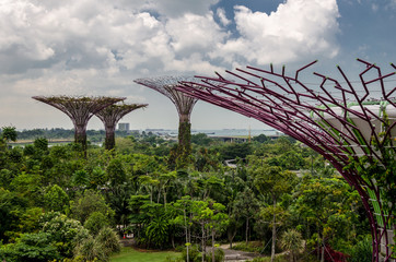 garden by the bay, Singapore, view of the garden from the OCBC skyway. Singapore. future. asia.